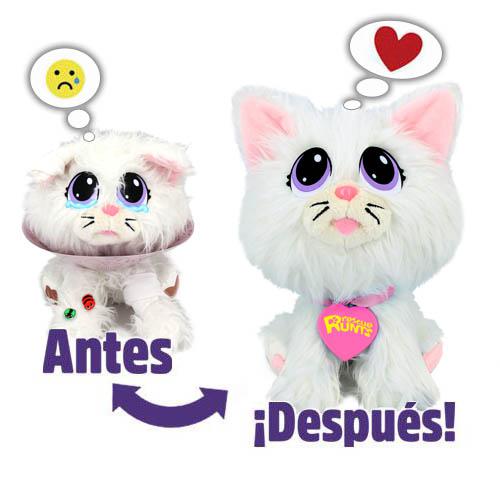 Rescue runts top gato